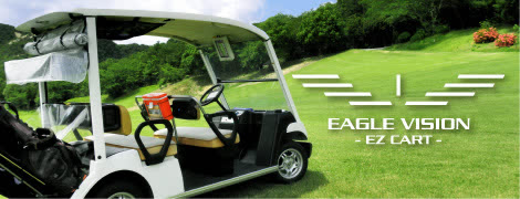 EAGLEVISION CART NAVI